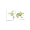 CANVAS PRINT CLASSIC WORLD MAP WITH A WHITE BACKGROUND - PICTURES OF MAPS - PICTURES