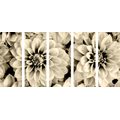 5-PIECE CANVAS PRINT DAHLIA FLOWERS IN SEPIA DESIGN - BLACK AND WHITE PICTURES{% if product.category.pathNames[0] != product.category.name %} - PICTURES{% endif %}