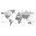 DECORATIVE PINBOARD GRAY MAP ON A WHITE BACKGROUND - PICTURES ON CORK - PICTURES