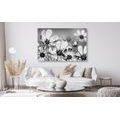 CANVAS PRINT SUMMER FLOWERS IN BLACK AND WHITE - BLACK AND WHITE PICTURES - PICTURES