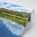 WALL MURAL NATURE IN SUMMER - WALLPAPERS NATURE - WALLPAPERS