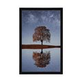 POSTER STARRY SKY ABOVE A LONELY TREE - NATURE - POSTERS