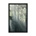 POSTER SUN RAYS IN A FOGGY FOREST - NATURE - POSTERS