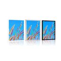 POSTER WILDES GRAS UNTER BLAUEM HIMMEL - NATUR - POSTER