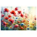 WANDBILD ROTE MOHNBLUMEN UND BLAUE KORNBLUMEN - WANDBILDER FELDER UND WIESEN - BILDER