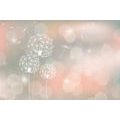 SELF ADHESIVE WALLPAPER SPARKLING DANDELION SELF ADHESIVE WALLPAPER - SELF-ADHESIVE WALLPAPERS - WALLPAPERS