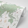 CARTA DA PARATI – MAPPA VERDE - CARTA DA PARATI MAPPE - CARTA DA PARATI