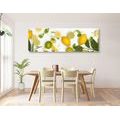 CANVAS PRINT BLEND OF CITRUS FRUITS - PICTURES OF FOOD AND DRINKS - PICTURES