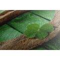 CANVAS PRINT HORSESHOE AND A FOUR-LEAF CLOVER FOR GOOD LUCK - STILL LIFE PICTURES{% if product.category.pathNames[0] != product.category.name %} - PICTURES{% endif %}