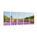 5 PART PICTURE PROVENCE WITH LAVENDER FIELDS - PICTURES FLOWERS{% if kategorie.adresa_nazvy[0] != zbozi.kategorie.nazev %} - PICTURES{% endif %}