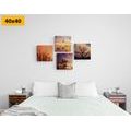 CANVAS PRINT SET CHARMING NATURE - SET OF PICTURES - PICTURES