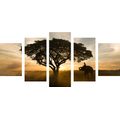 5-PIECE CANVAS PRINT ELEPHANT AT SUNRISE - PICTURES OF NATURE AND LANDSCAPE - PICTURES