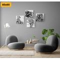 CANVAS PRINT SET ANIMALS IN BLACK AND WHITE WATERCOLOR DESIGN - SET OF PICTURES - PICTURES