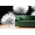 WALL MURAL BLACK AND WHITE DANDELION - BLACK AND WHITE WALLPAPERS - WALLPAPERS
