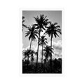 POSTER – PALME DA COCCO SULLA SPIAGGIA IN BIANCO E NERO - NERO E BIANCO - POSTER