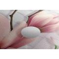 CANVAS PRINT MAGNOLIA WITH ABSTRACT ELEMENTS - PICTURES FLOWERS - PICTURES