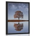 POSTER STARRY SKY ABOVE A LONELY TREE - NATURE - POSTERS