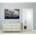 TABLEAU SUR TOILE – ARBRE EN NOIR ET BLANC DANS LE PRÉ - TABLEAUX EN NOIR ET BLANC - TABLEAUX