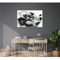 CANVAS PRINT BEAUTIFUL INTERPLAY OF STONES AND ORCHIDS IN BLACK AND WHITE - BLACK AND WHITE PICTURES - PICTURES