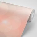 PAPIER PEINT – PISSENLIT SCINTILLANT - PAPIERS PEINTS PISSENLITS - PAPIERS PEINTS PANORAMIQUES