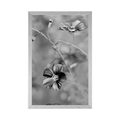 POSTER FLOWERS IN BLACK AND WHITE - BLACK AND WHITE - POSTERS