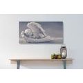 CANVAS PRINT SLEEPING ANGEL - PICTURES OF ANGELS - PICTURES