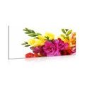 CANVAS PRINT BOUQUET OF FREESIAS - PICTURES FLOWERS - PICTURES