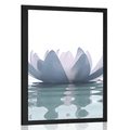 POSTER FLOARE DE LOTUS - FLORI - POSTERE