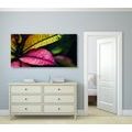 CANVAS PRINT FRESH LEAVES - PICTURES OF NATURE AND LANDSCAPE - PICTURES