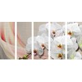 5-PIECE CANVAS PRINT WHITE ORCHID ON A CANVAS - PICTURES FLOWERS - PICTURES