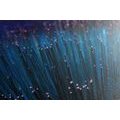 CANVAS PRINT FIBER OPTICS - STILL LIFE PICTURES - PICTURES