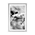 POSTER WITH MOUNT CHERRY BLOSSOM IN BLACK AND WHITE - BLACK AND WHITE - POSTERS