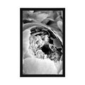 POSTER BLACK AND WHITE FLOWER PETALS - BLACK AND WHITE - POSTERS