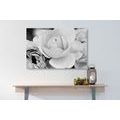 CANVAS PRINT FULL OF ROSES IN BLACK AND WHITE - BLACK AND WHITE PICTURES - PICTURES
