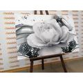 CANVAS PRINT LUXURY ROSE WITH AN ABSTRACTION IN BLACK AND WHITE - BLACK AND WHITE PICTURES - PICTURES