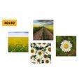 CANVAS PRINT SET MEADOW FULL OF FLOWERS - SET OF PICTURES - PICTURES