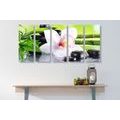 5-PIECE CANVAS PRINT JAPANESE ORCHID - PICTURES FENG SHUI - PICTURES