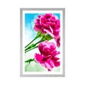 POSTER WITH MOUNT CARNATION FLOWER - FLOWERS - POSTERS