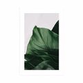 POSTER MIT PASSEPARTOUT BEZAUBERNDES BLATT DER MONSTERA - BLUMEN - POSTER