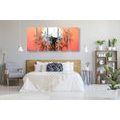 5-PIECE CANVAS PRINT DANDELION AT SUNSET - PICTURES FLOWERS{% if product.category.pathNames[0] != product.category.name %} - PICTURES{% endif %}