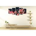 5-PIECE CANVAS PRINT RED POPPIES ON A BLACK BACKGROUND - PICTURES FLOWERS - PICTURES