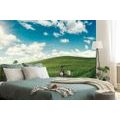 SELF ADHESIVE WALL MURAL BEAUTIFUL DAY ON THE MEADOW - SELF-ADHESIVE WALLPAPERS - WALLPAPERS