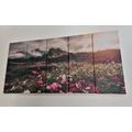 5-PIECE CANVAS PRINT MEADOW OF BLOOMING FLOWERS - PICTURES OF NATURE AND LANDSCAPE - PICTURES