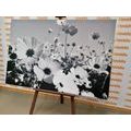 CANVAS PRINT SUMMER FLOWERS IN BLACK AND WHITE - BLACK AND WHITE PICTURES - PICTURES