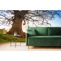 SELF ADHESIVE WALL MURAL SYMBIOSIS OF TREES - SELF-ADHESIVE WALLPAPERS - WALLPAPERS