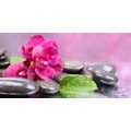 CANVAS PRINT ORCHID WITH A HINT OF RELAXATION - PICTURES FENG SHUI - PICTURES