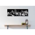 CANVAS PRINT ORGANIC FRUITS AND VEGETABLES IN BLACK AND WHITE - BLACK AND WHITE PICTURES - PICTURES