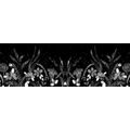 CANVAS PRINT WITH A FLORAL ORNAMENT IN BLACK AND WHITE - BLACK AND WHITE PICTURES - PICTURES