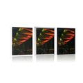 POSTER TROPICAL PALM LEAVES - NATURE - POSTERS