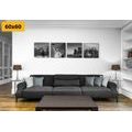 CANVAS PRINT SET NEW YORK CITY IN BLACK AND WHITE - SET OF PICTURES - PICTURES